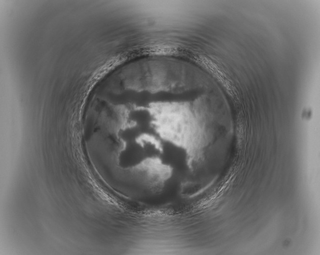 X0000096130721200801251016