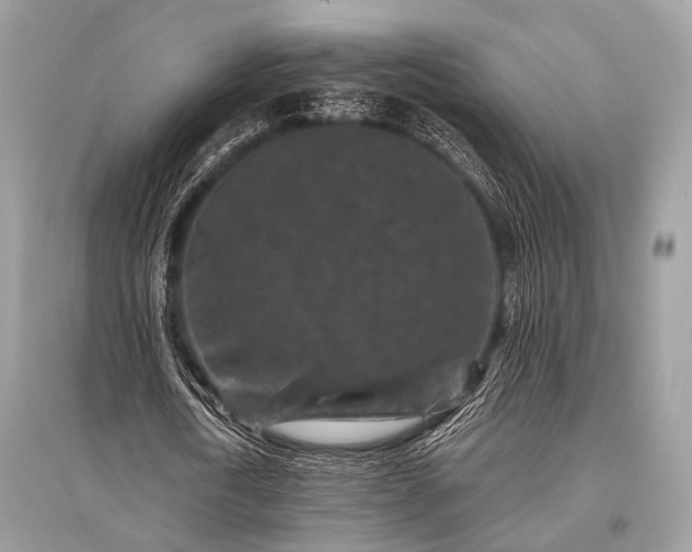 X0000096130722200801251016