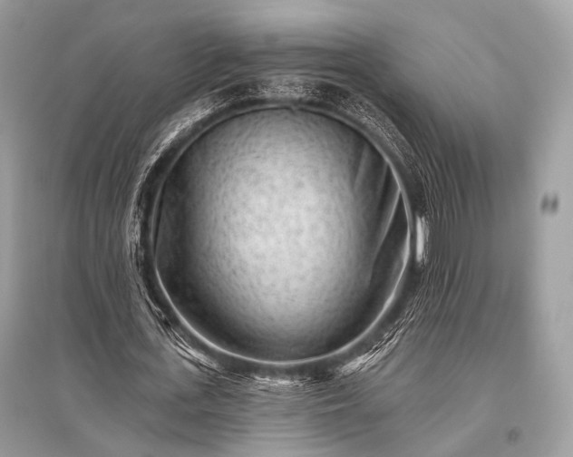 X0000096130723200801251016