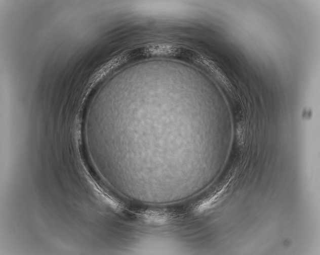 X0000096130725200801251016