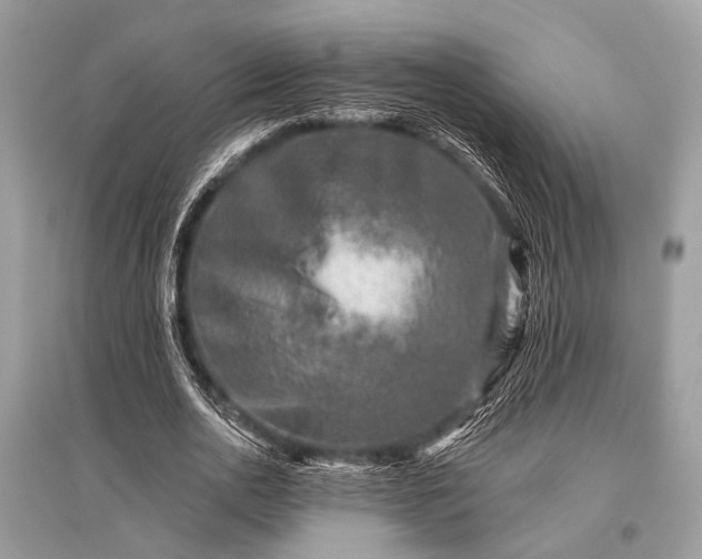 X0000096130726200801251016
