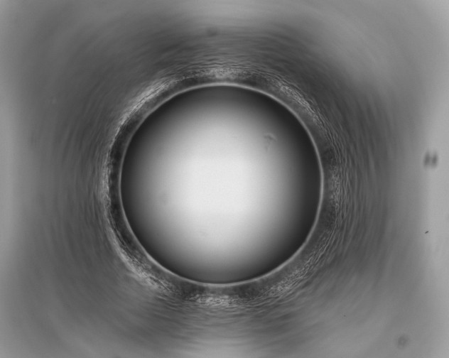 X0000096130730200801251016