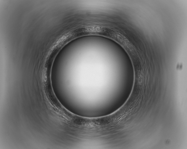 X0000096130731200801251016