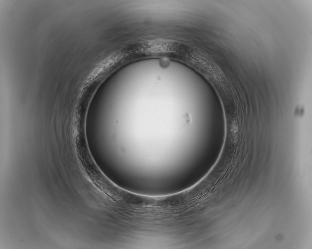 X0000096130732200801251016