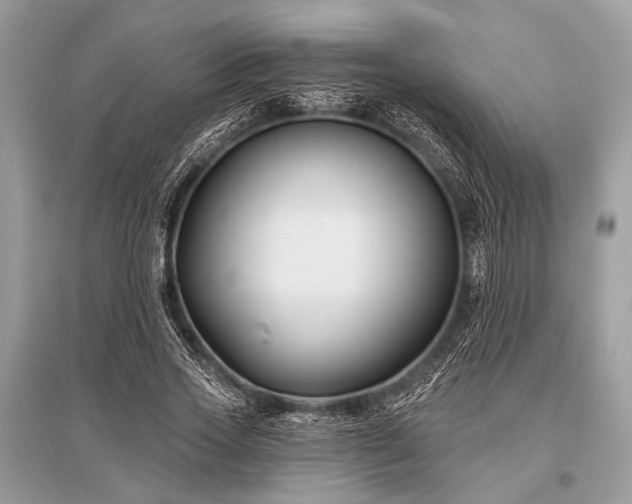 X0000096130733200801251016