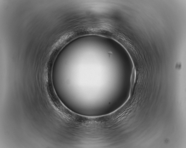 X0000096130734200801251016