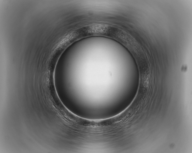 X0000096130735200801251016