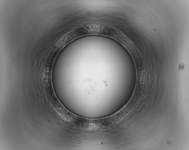 X0000096130737200801251016