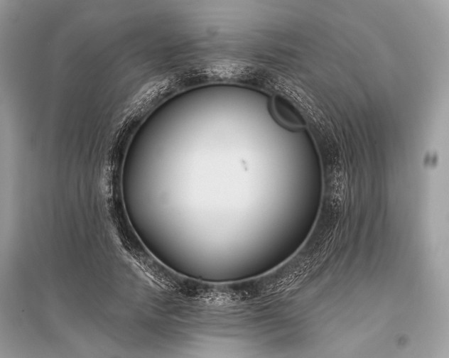X0000096130738200801251016