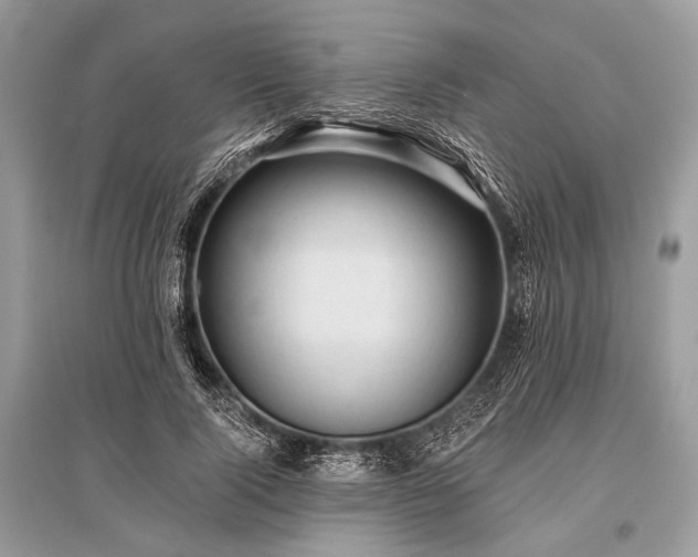 X0000096130740200801251016