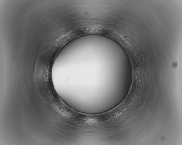 X0000096130741200801251016