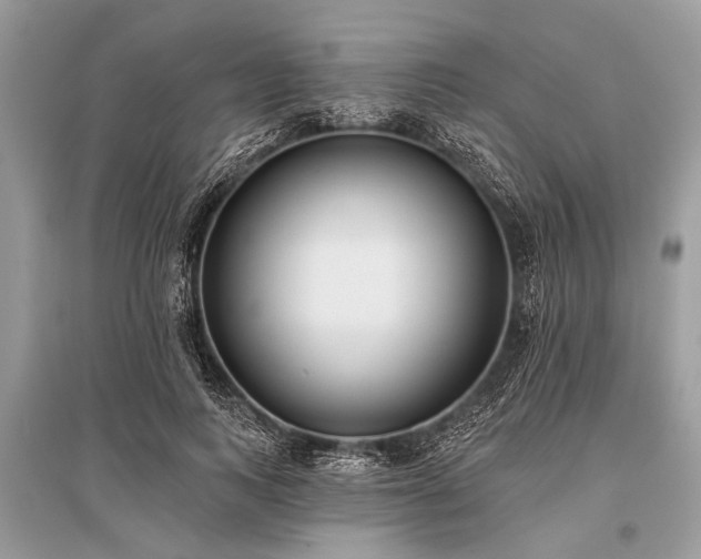 X0000096130743200801251016