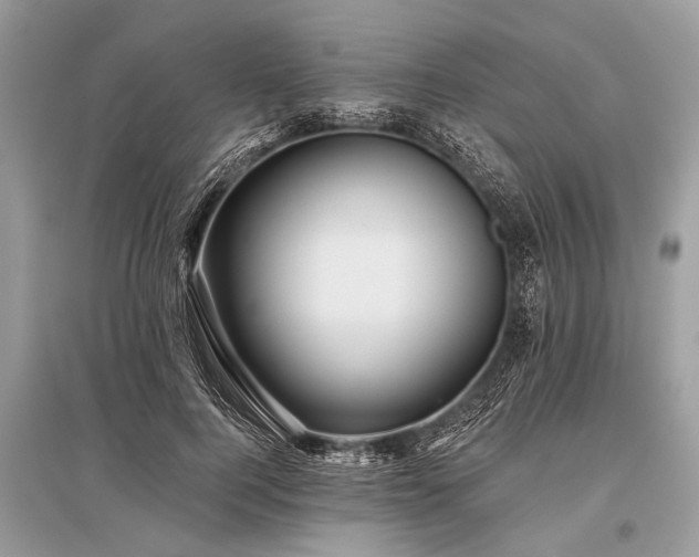 X0000096130744200801251016