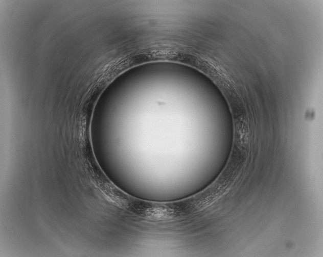 X0000096130745200801251016