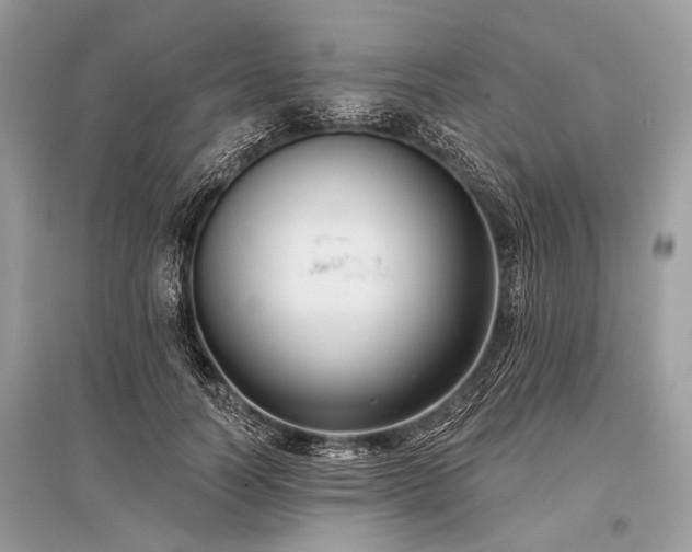X0000096130746200801251016