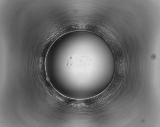 X0000096130747200801251016