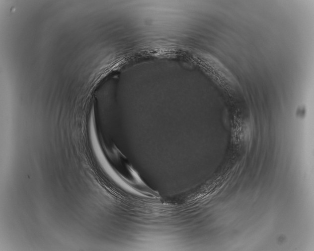 X0000096130748200801251016