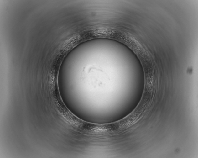 X0000096130749200801251016