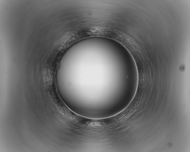 X0000096130751200801251016