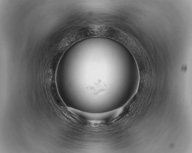 X0000096130752200801251017