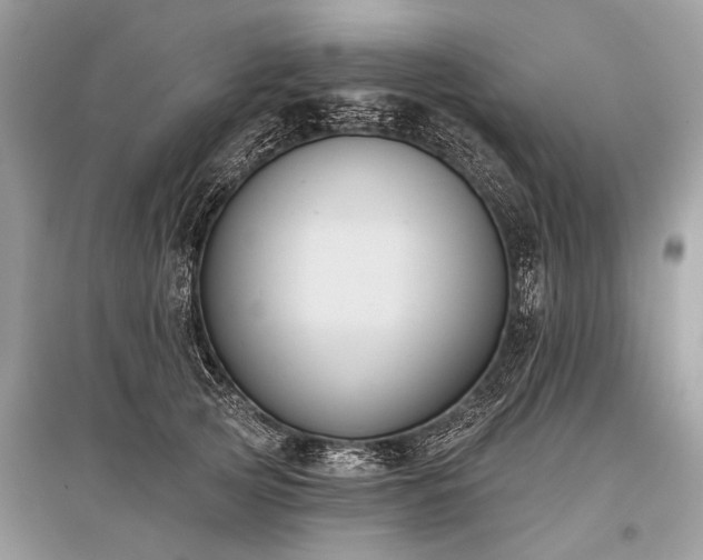 X0000096130753200801251017