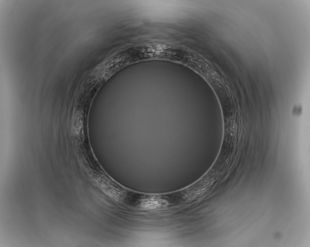 X0000096130754200801251017