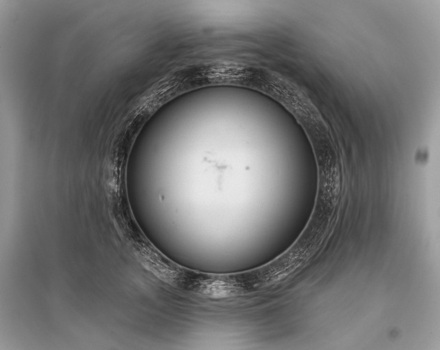 X0000096130755200801251017