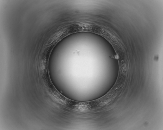 X0000096130756200801251017