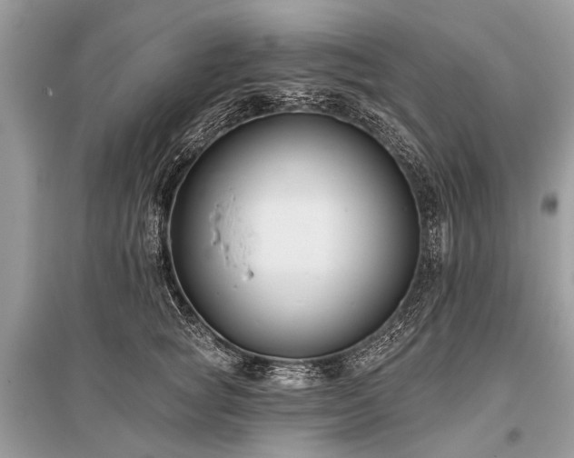 X0000096130757200801251017