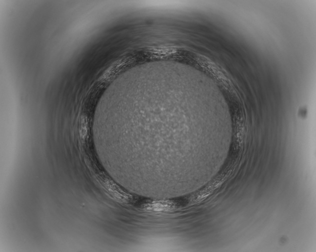 X0000096130758200801251017