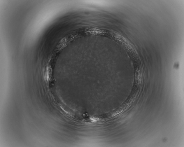 X0000096130760200801251017