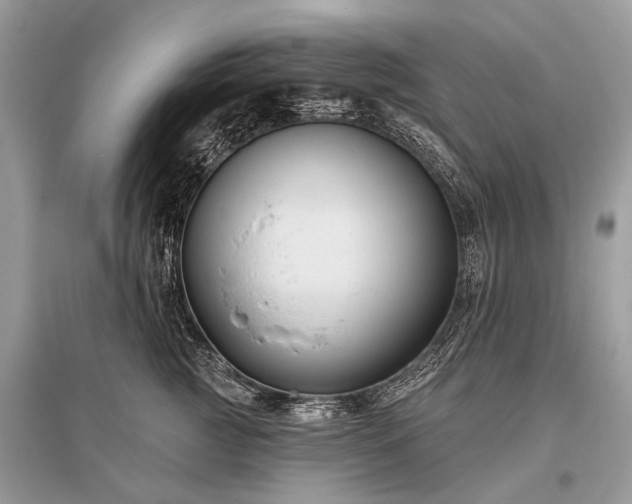 X0000096130761200801251017