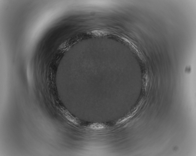X0000096130762200801251017