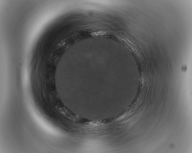 X0000096130763200801251017