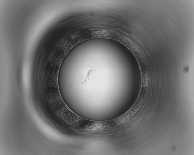 X0000096130764200801251017