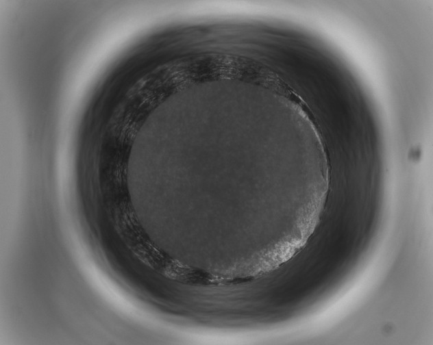 X0000096130766200801251017