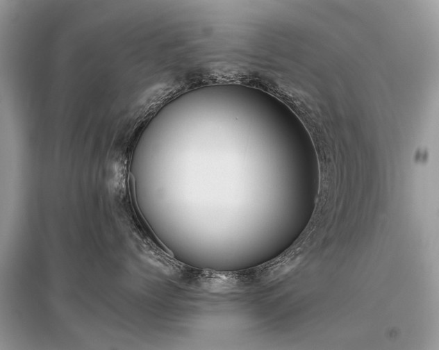 X0000096130768200801251017