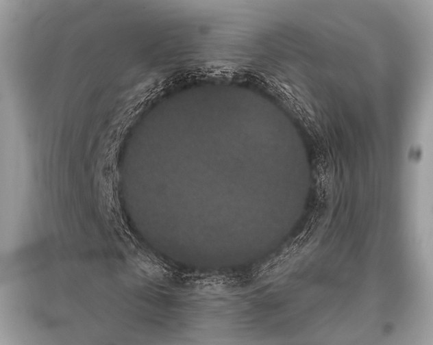 X0000096130769200801251016