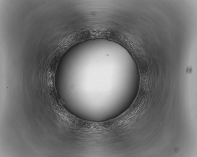 X0000096130770200801251016