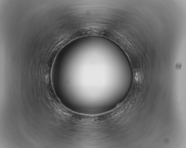 X0000096130771200801251016