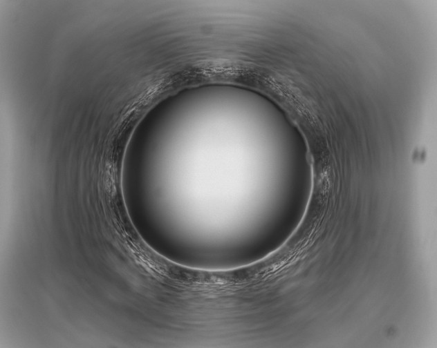 X0000096130772200801251016