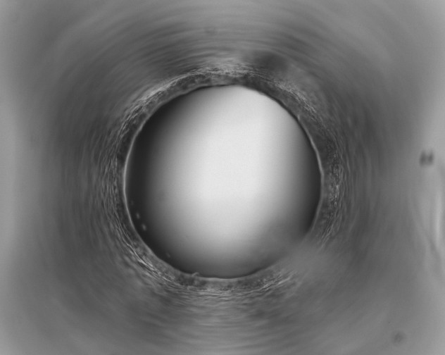 X0000096130773200801251016
