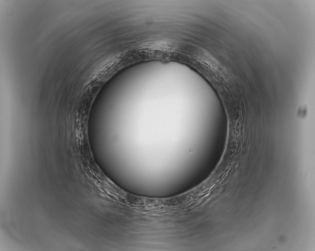 X0000096130774200801251016