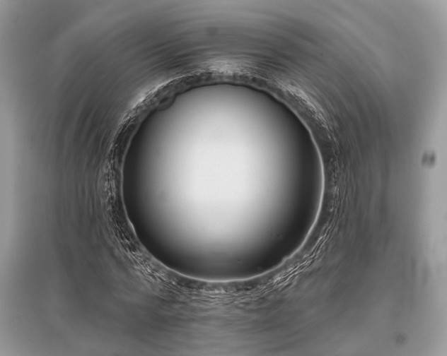 X0000096130776200801251016