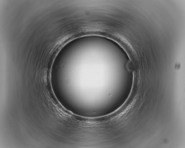X0000096130777200801251016