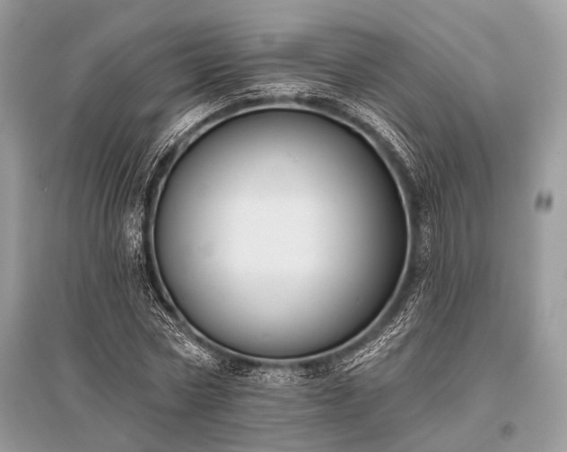 X0000096130778200801251016