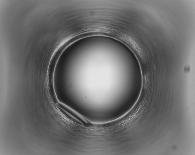X0000096130780200801251016