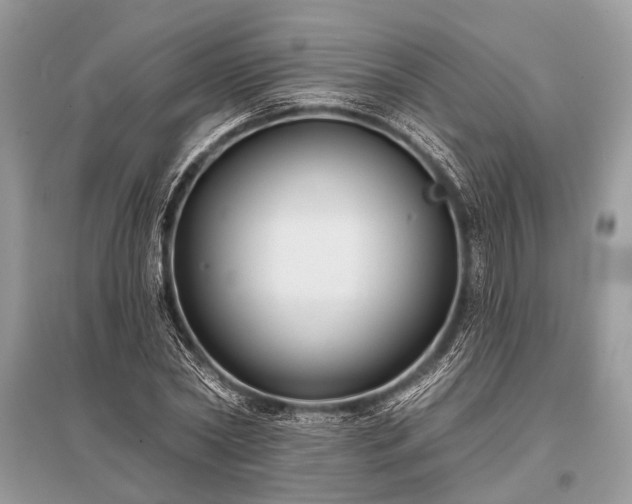 X0000096130782200801251016