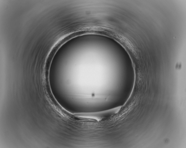 X0000096130784200801251016