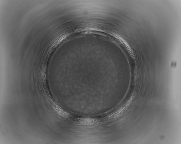 X0000096130785200801251016